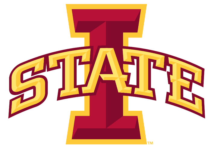 Iowa State Cyclones 2008-Pres Primary Logo diy DTF decal sticker...